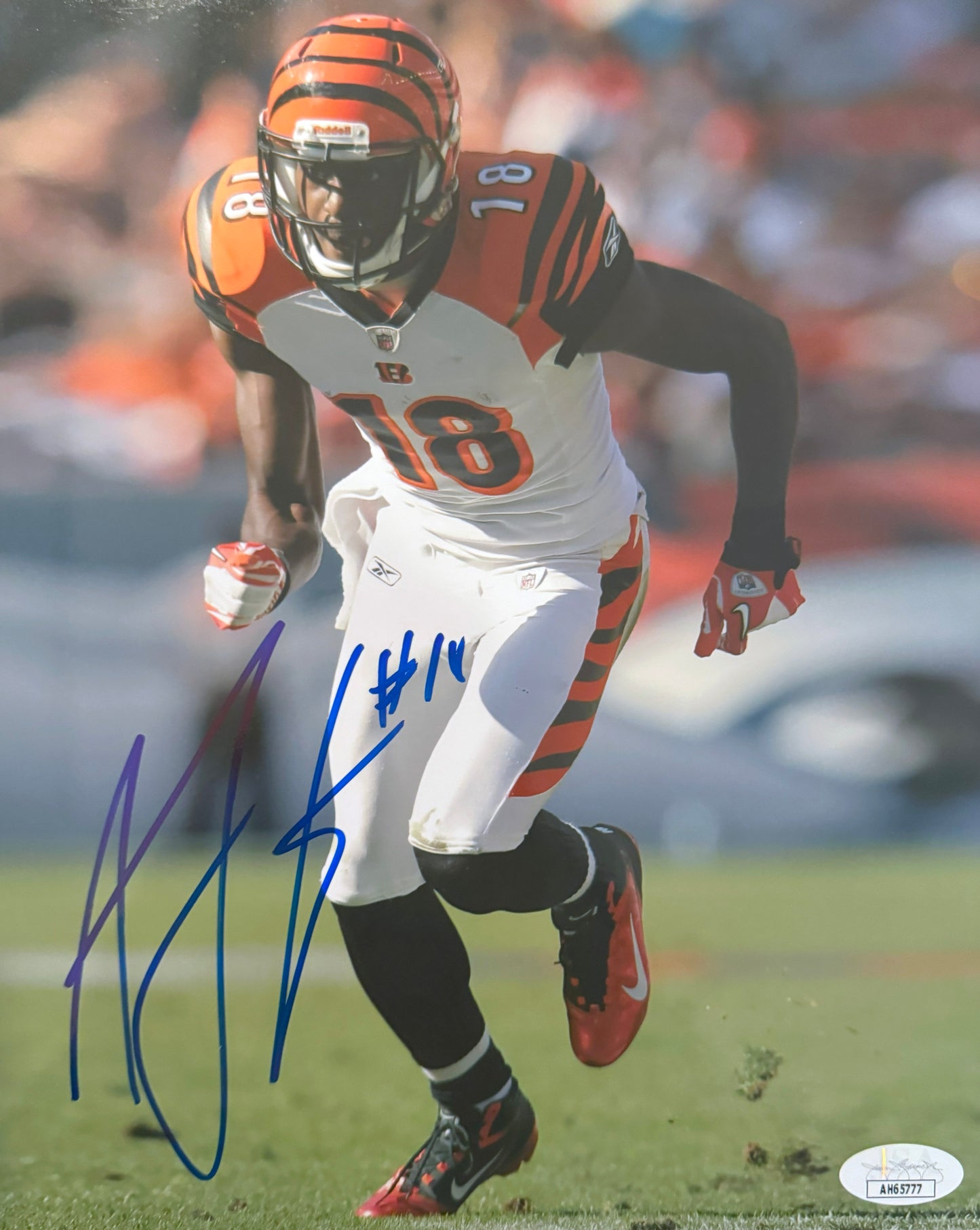 AJ Green Cincinnati Autographed Photo 8x10 JSA