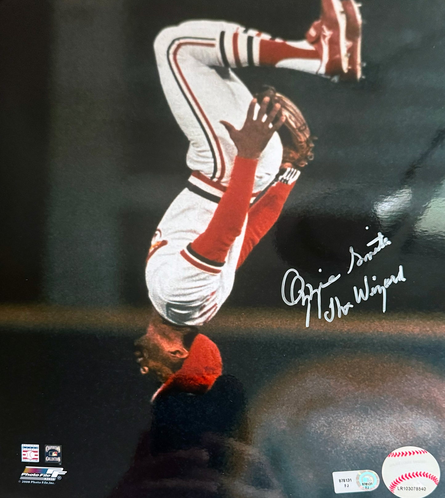 Ozzie Smith St Louis Autographed Photo 8x10 MLB Authentication