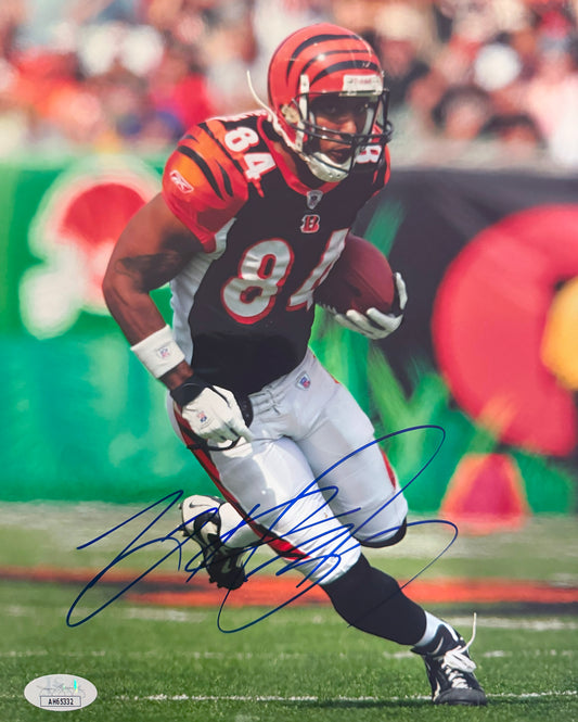 TJ Houshmandzadeh Cincinnati Autographed Photo 8x10 JSA