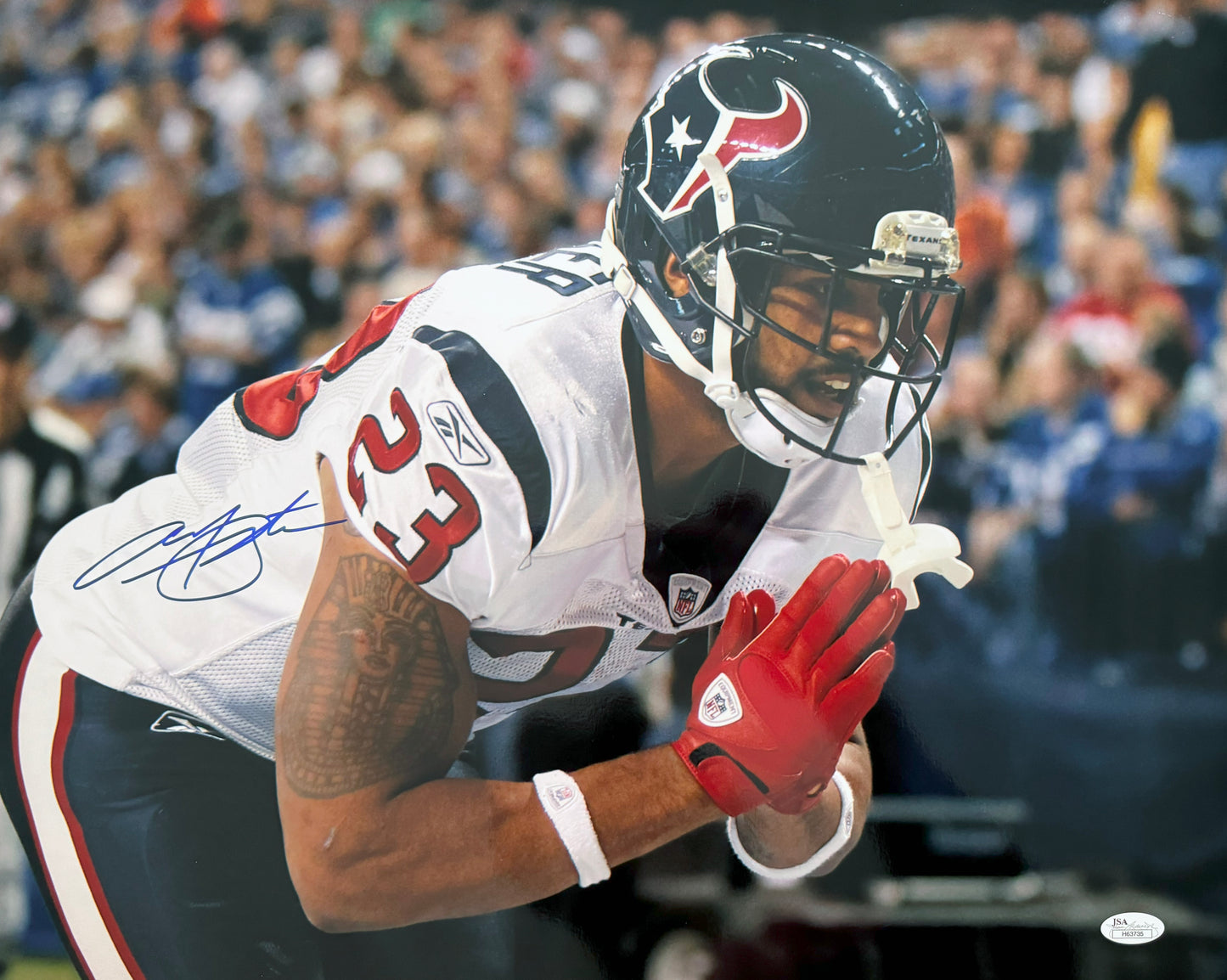 Arian Foster Signed 16x20 Houston Autographed Photograph JSA